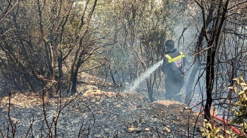 الدفاع المدني - الهيئة يتصدى لحريق في بلدة مليخ الجنوبية