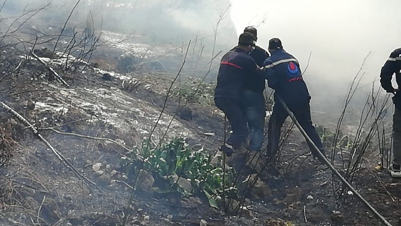 الدفاع المدني يسيطر على حريق اعشاب واشجار في بلدة شحور