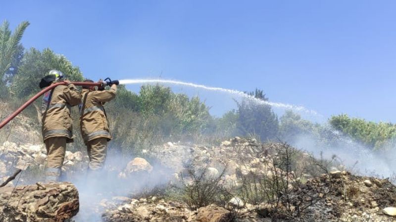 إخماد حريق أعشاب و أشجار على طريق عيتيت - البازورية