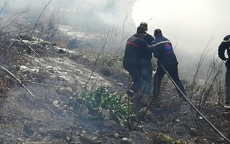 الدفاع المدني يسيطر على حريق اعشاب واشجار في بلدة شحور