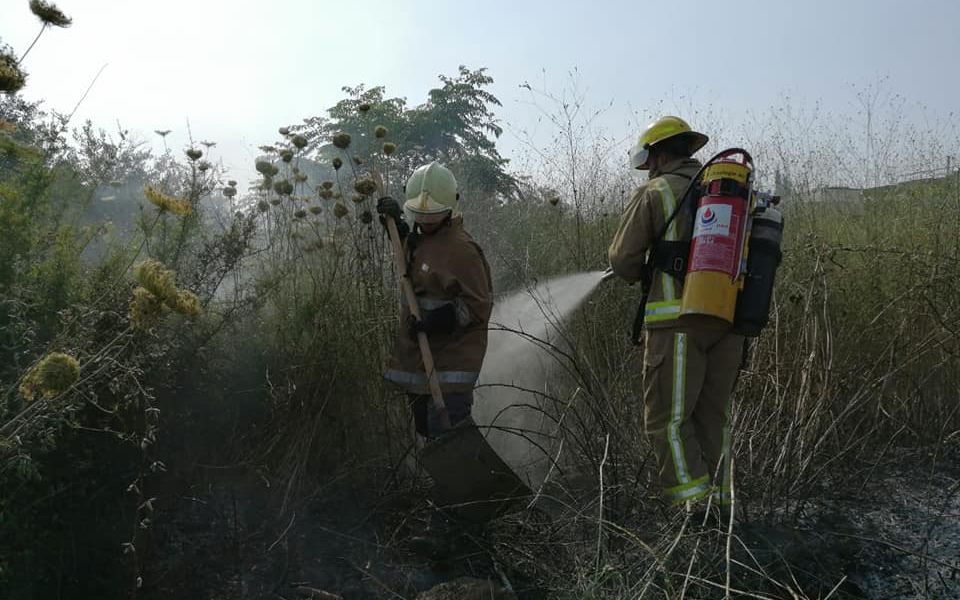 اخماد حريق اعشاب في بلدة طير دبا الجنوبية